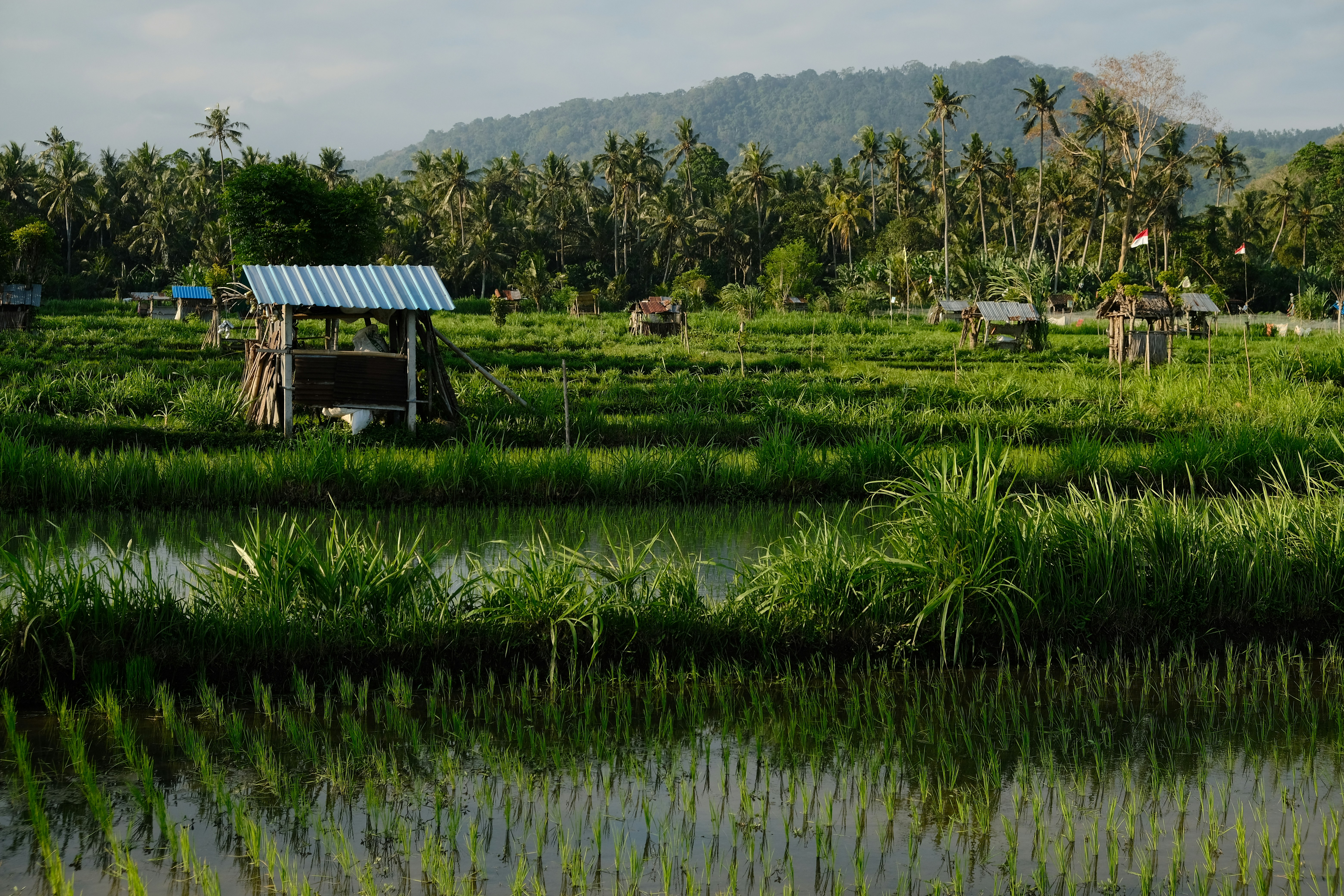 Organic Farming