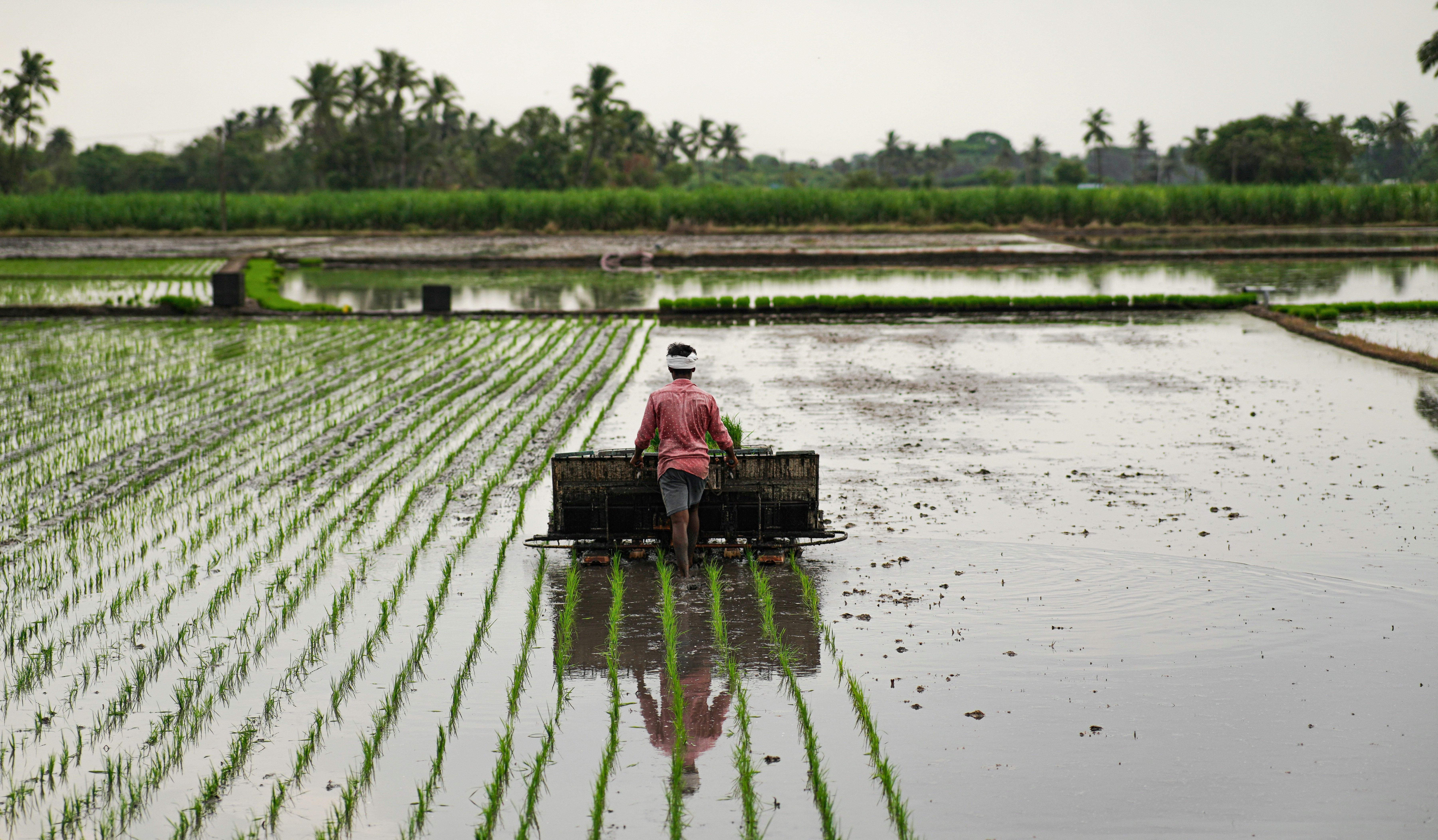 Healthcare